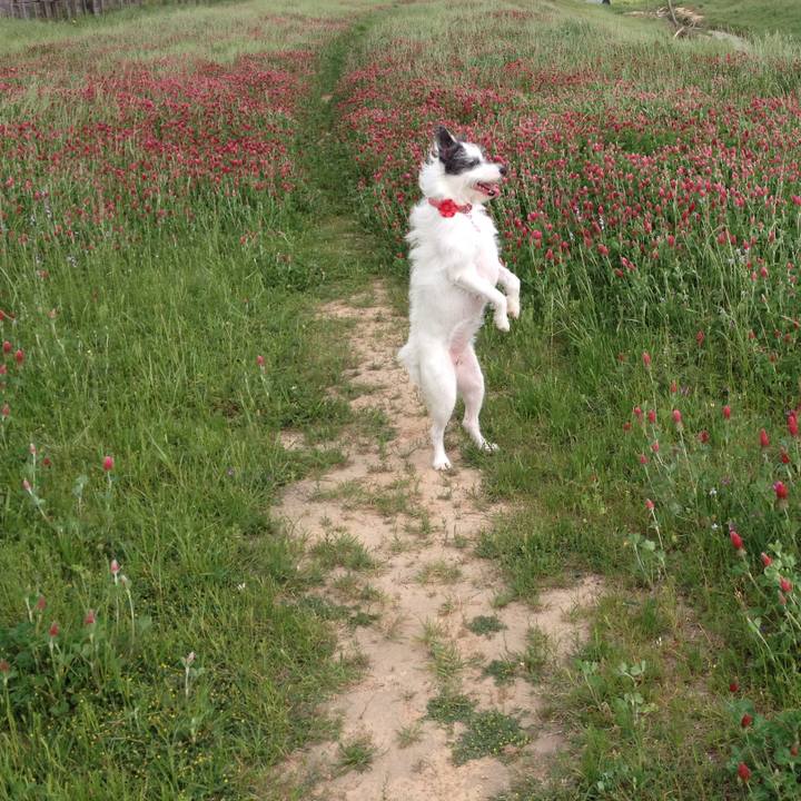 D8558f1b f39b 418e 8190 0d6ba7f1f41b