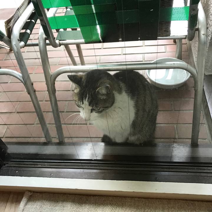 D85624f6 3fc3 4861 9eed cd62f18bd4cc