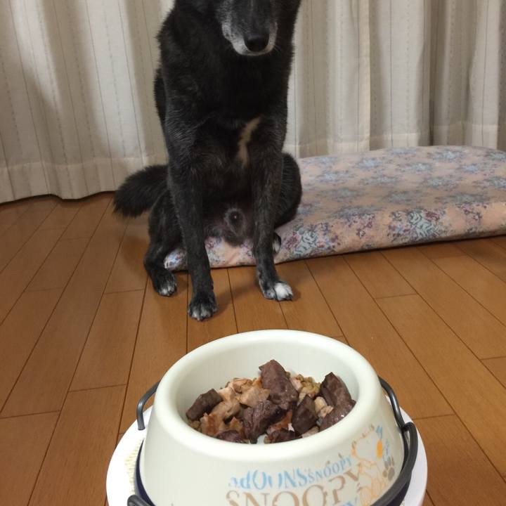 D8563eca d9e0 4942 a52e 5ac4b961dfb1