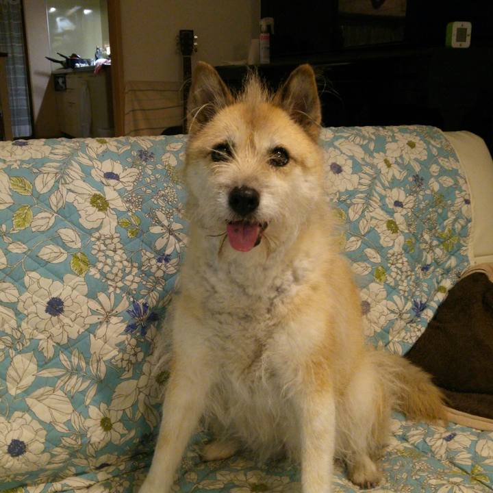 D856464b d52d 4641 bb9e 5e2ebaa104dd