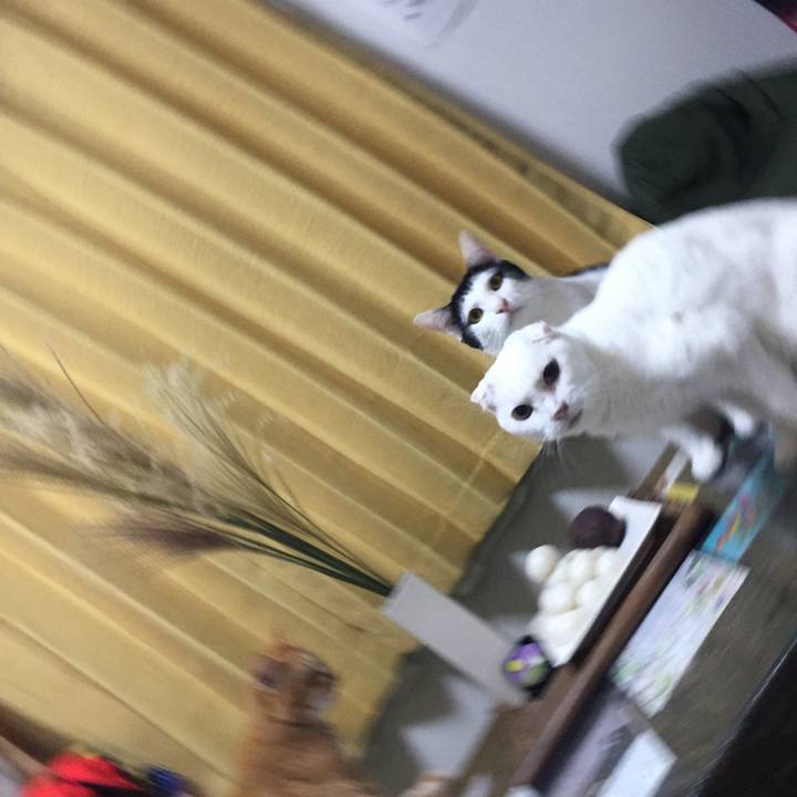 D8567ab4 aad0 459b 9b0a 2adbb36bcc82