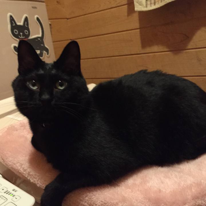 D85697cc ab7b 4d90 9e63 6d82c13c1612