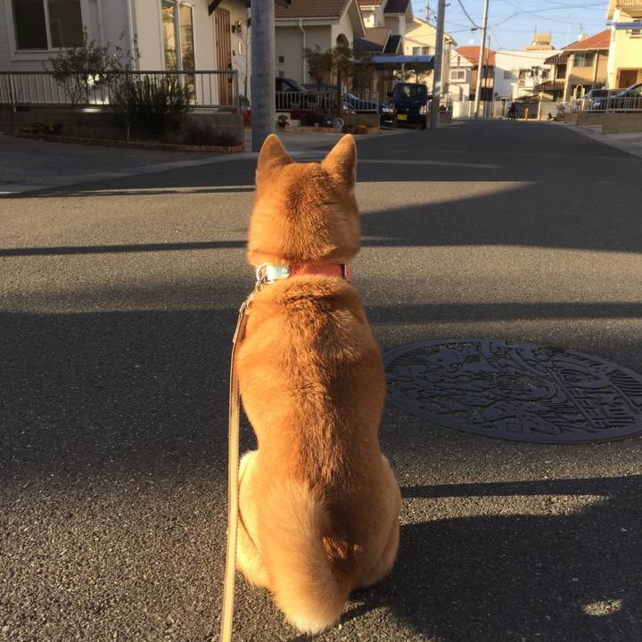 D8569a37 8251 4851 bdde d833646af464