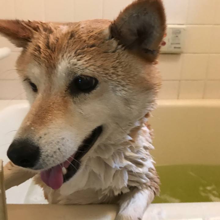 D8569c98 7160 431d a136 20d36118a73c