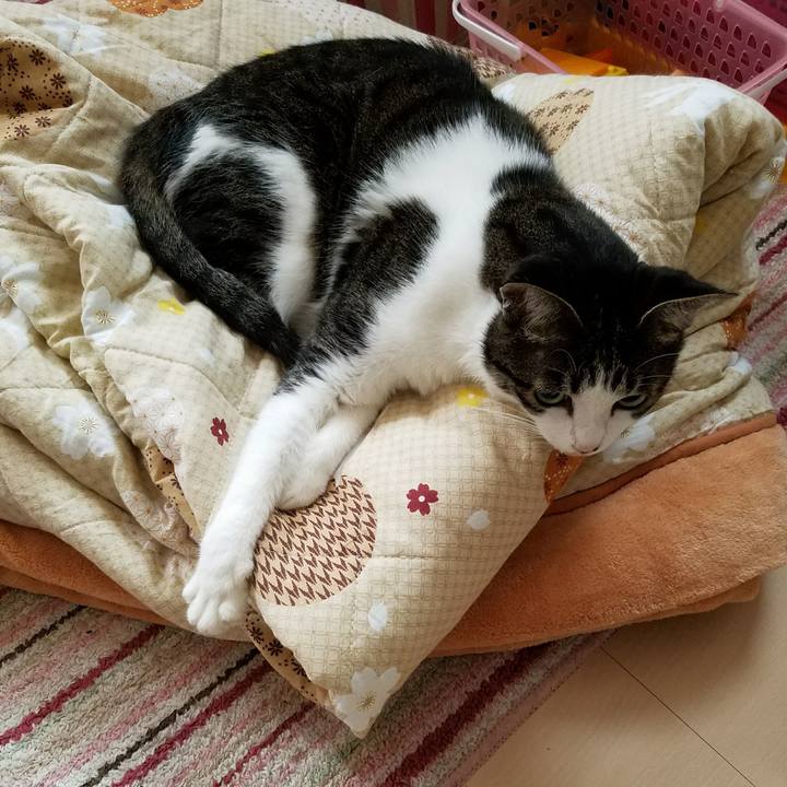 D85727e6 442f 43af 80b5 8ae3d093d238