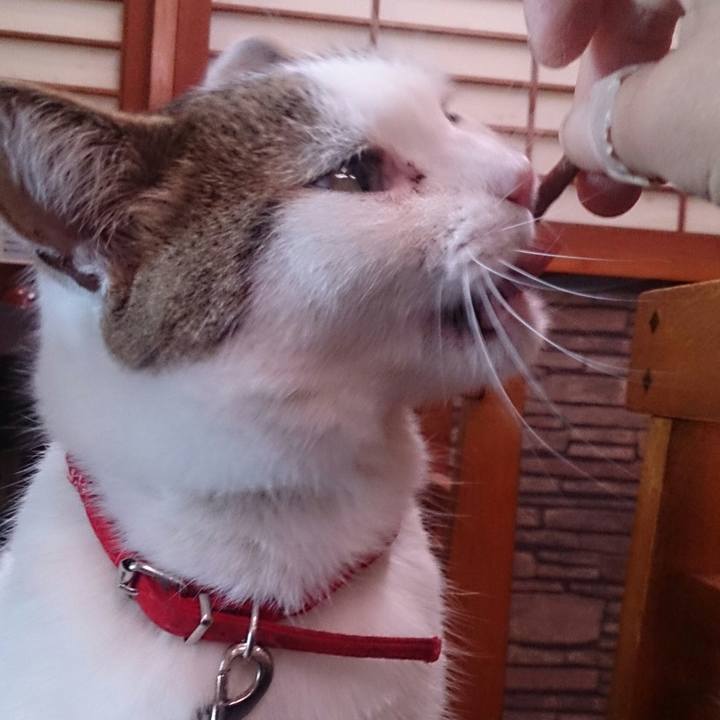 D8572962 9bf3 48af 80e7 14a9e3dfdcb0