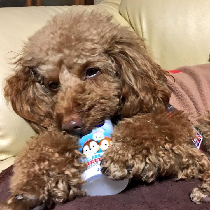 D8572e38 d8aa 4226 8425 01d068127b65