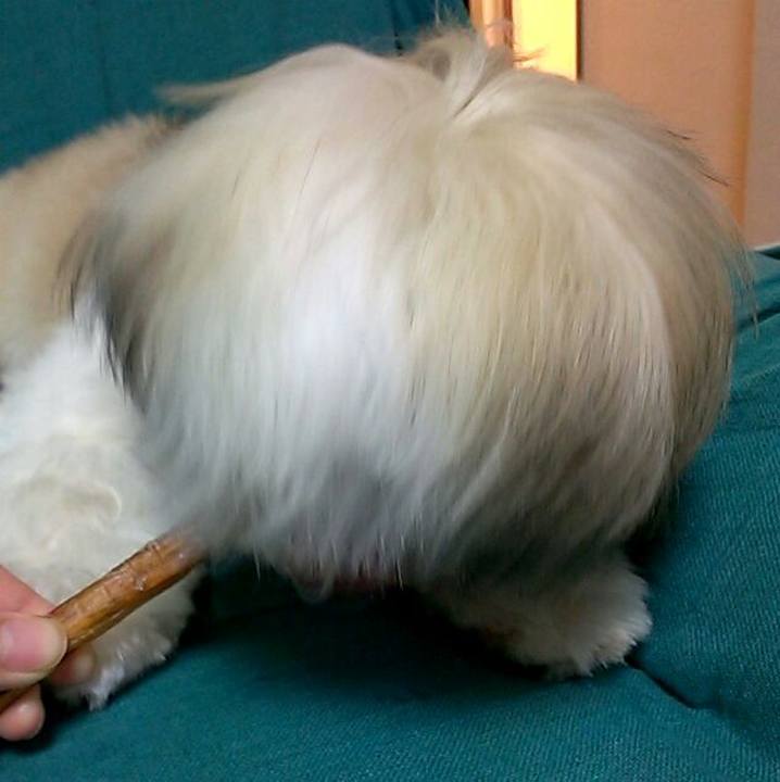 D857a3c3 19c8 4797 b9fd dad220dbd22d