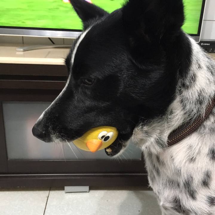 D857e9e6 2fc0 4dbc b8b0 a48cf782279c