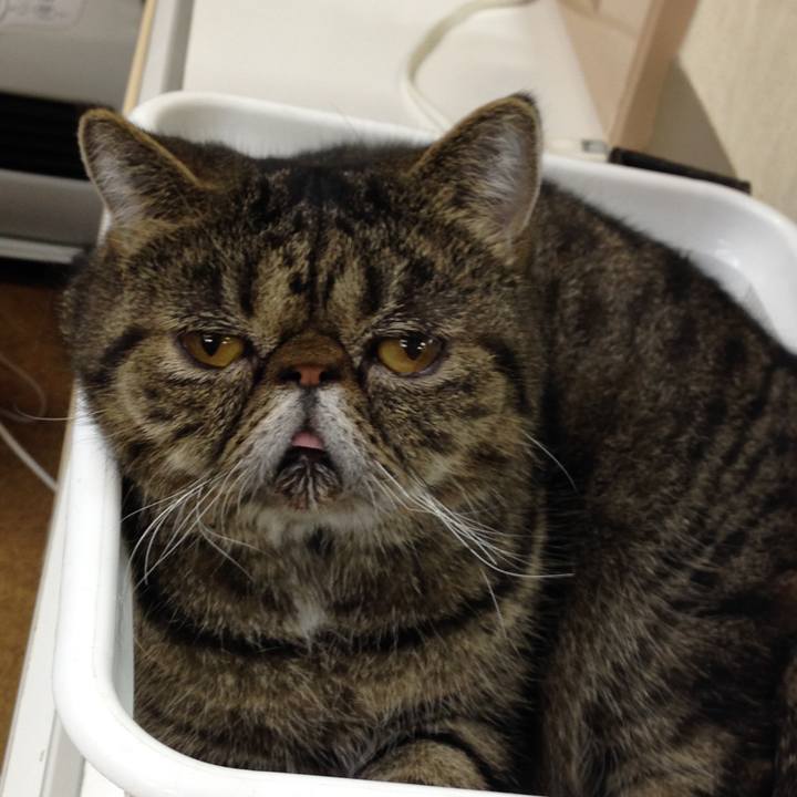 D858154e ec4c 458f 868b 88007a305589