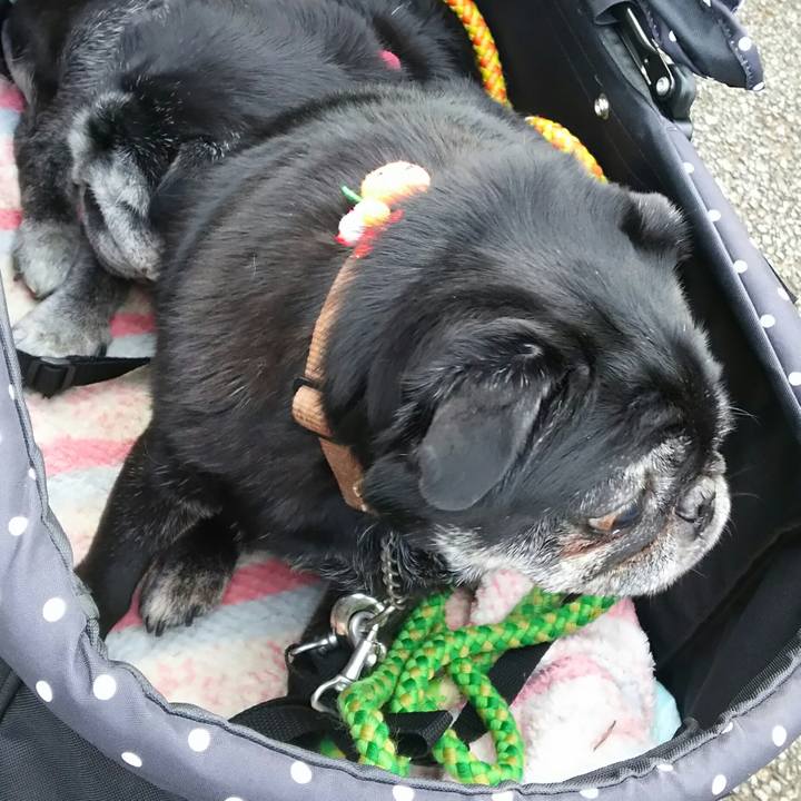 D8582aa8 c8a8 4adc a819 d98588d678b1