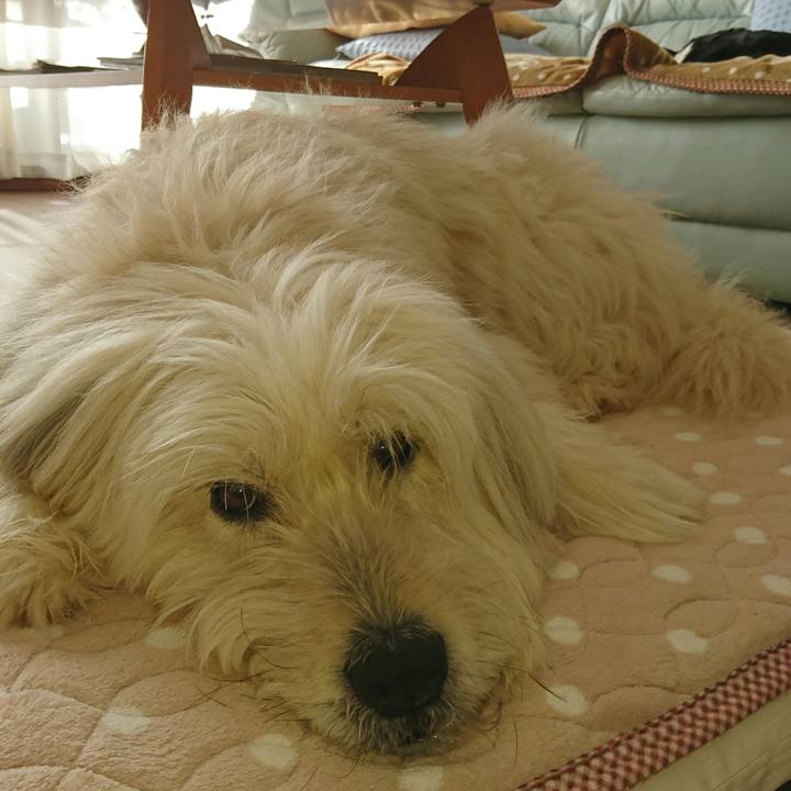 D8584ecf 7fdd 4364 9fb5 a0713833d38b