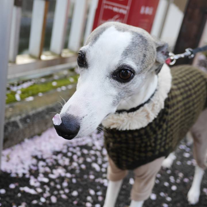 D8588b5b 59be 467a 9d3b de71cf69aa78