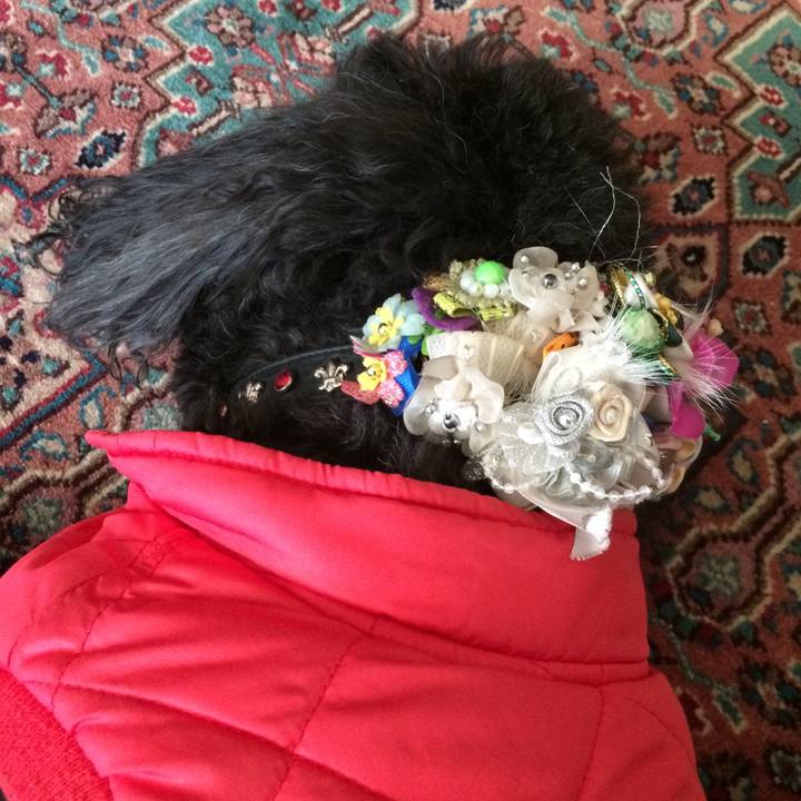 D8591efd 9259 41ba aa71 e17949eafb72