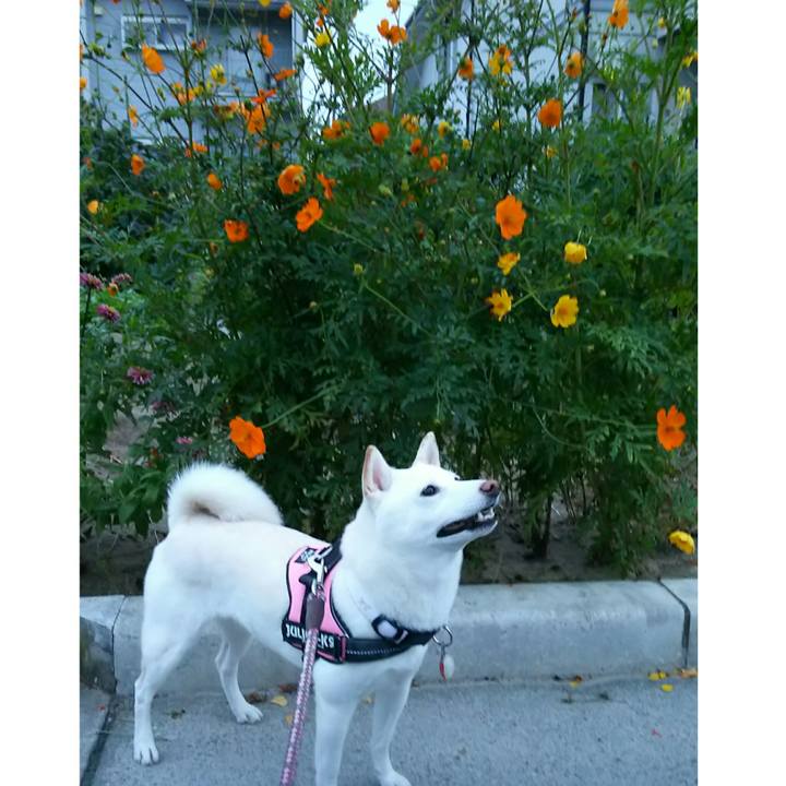 D8597f90 eec6 42f9 a90f bf208830c176