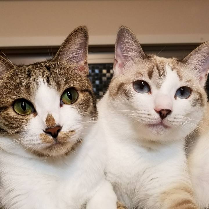 D859b340 65db 4e0c bda7 2354a6ef8ce7