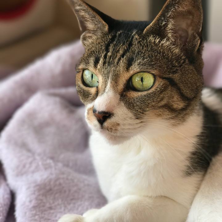 D859df0a bf3b 49b3 9441 3ff0fdf3969e