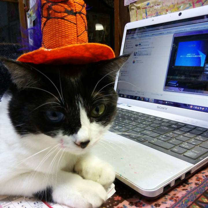 D85a3915 7f37 4c4f aac8 bb1d742e3d1d