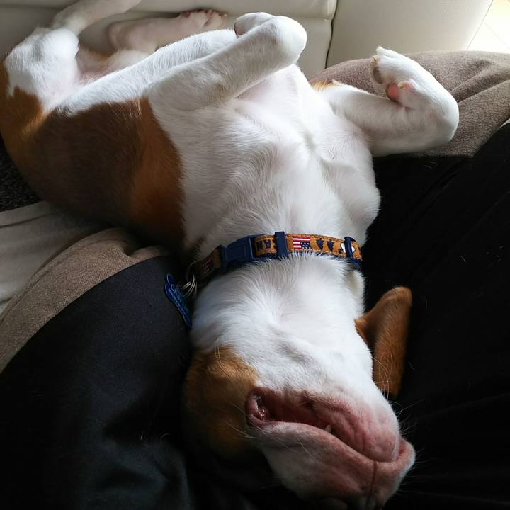 D85a92e4 8a40 4313 b87e bb194580005e