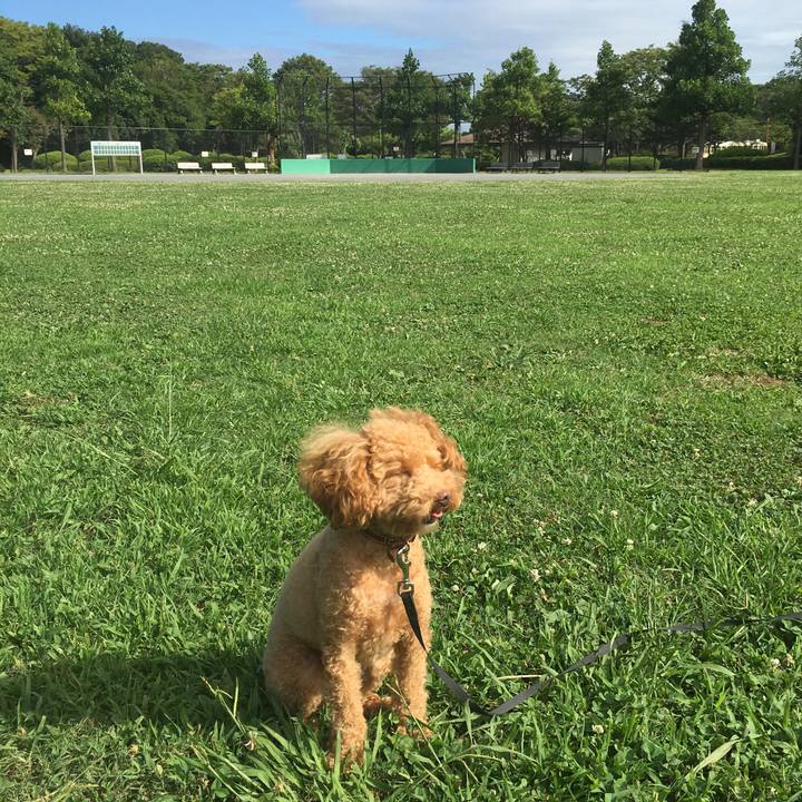 D85aa780 8b5d 4411 b888 9dffd64d82dd