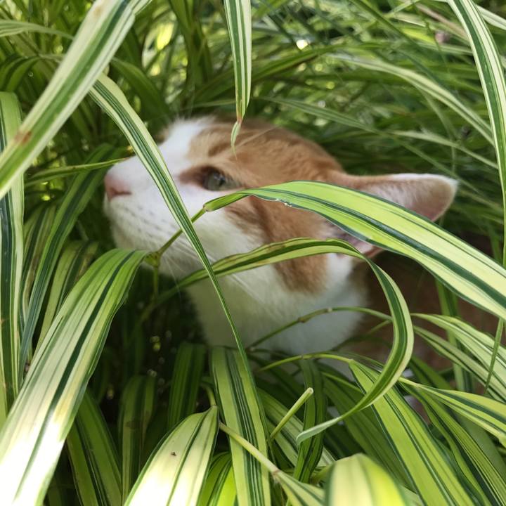 D85af5f0 248a 416c bf03 d97d343f76ba