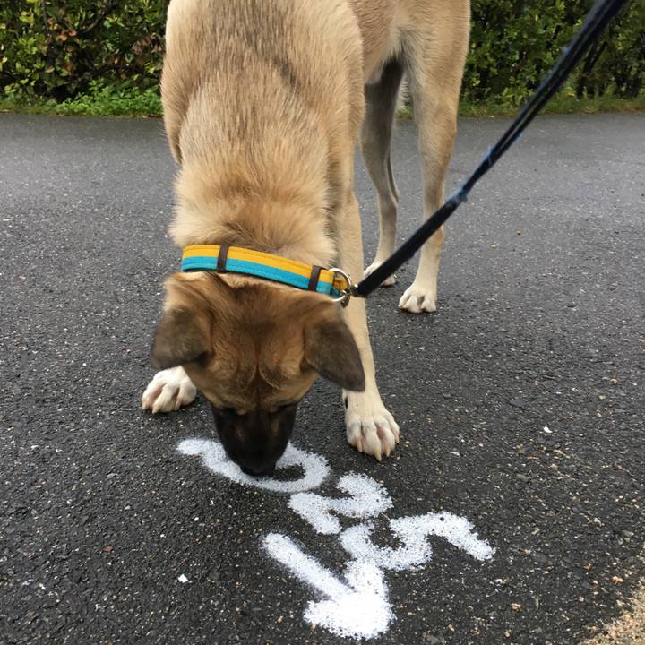 D85b0405 89ee 49f6 aec0 e3da0cf3a01c