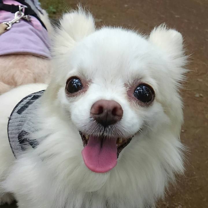 D85b3c0f 693e 430f b9df 694f5b9bd8b9