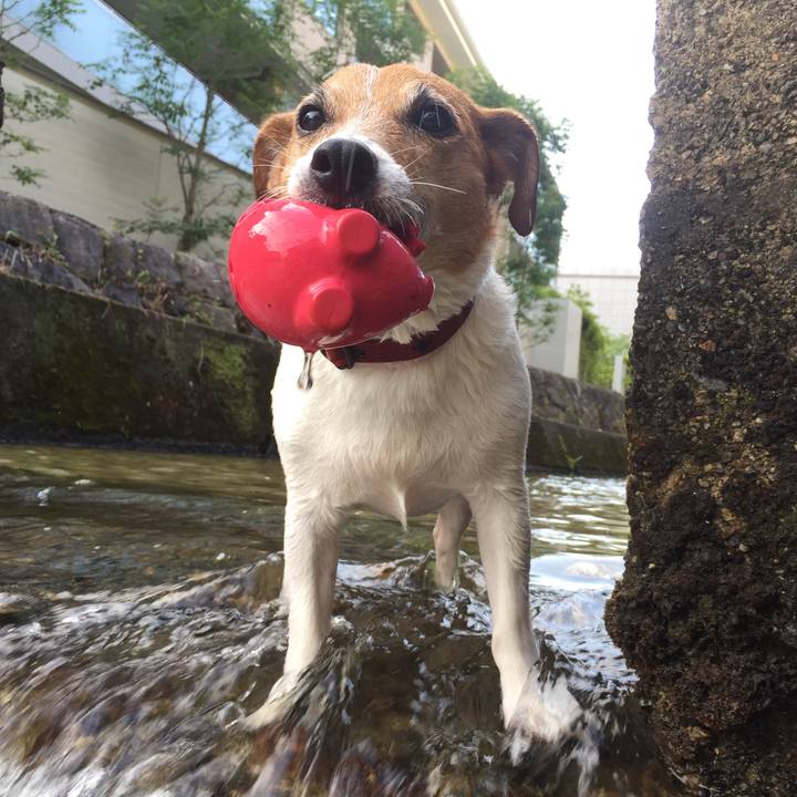 D85b4cb9 a756 4b91 8067 52591ee094ad