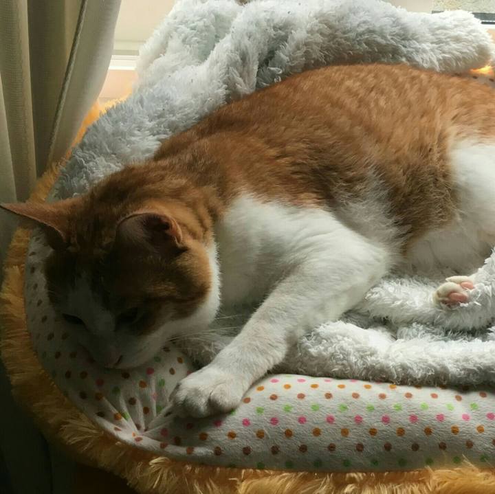 D85b678a 2a01 48c7 8ebe f4d2044f537e