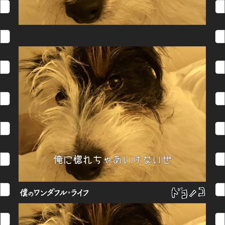 D85b88fc 287e 4717 af2b 5ec99b26c68a