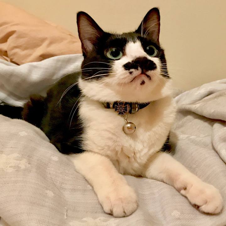 D85c2dae 9871 4d86 98b7 2206d6278ab9