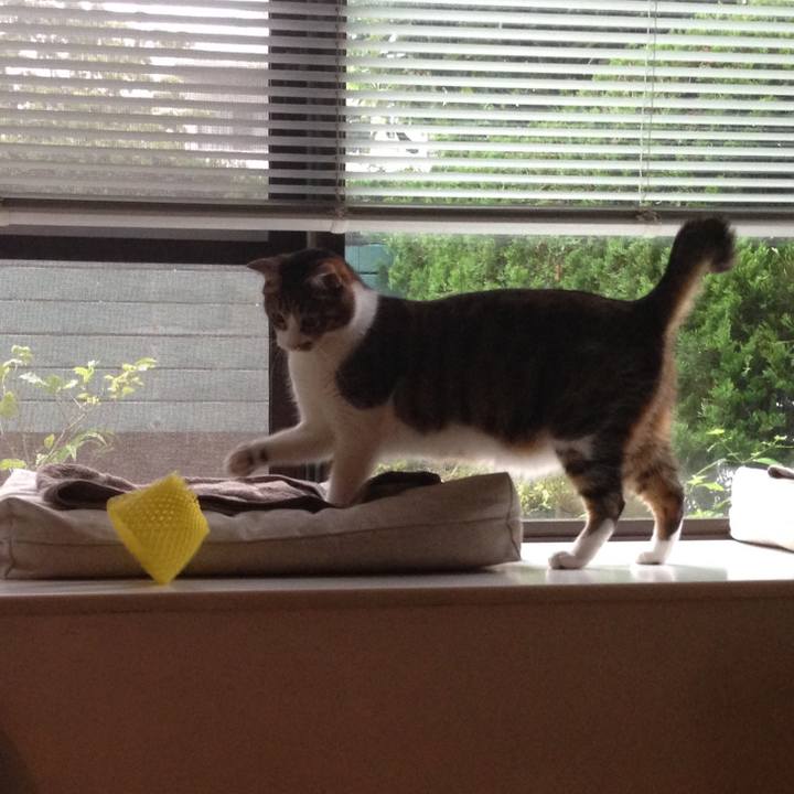 D85c6499 4d57 4493 b686 80b6c9def2d6