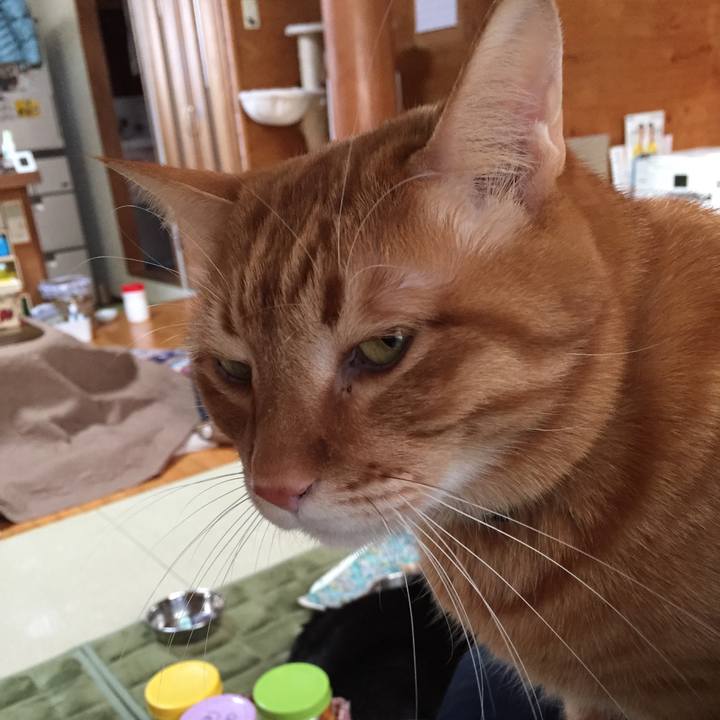 D85c900a 29a9 491c bcb5 9b44a199a00d