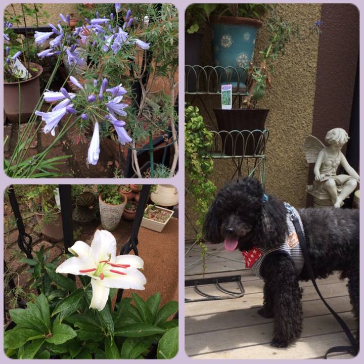 D85e8539 1190 4287 bbe6 48d8628e60d0