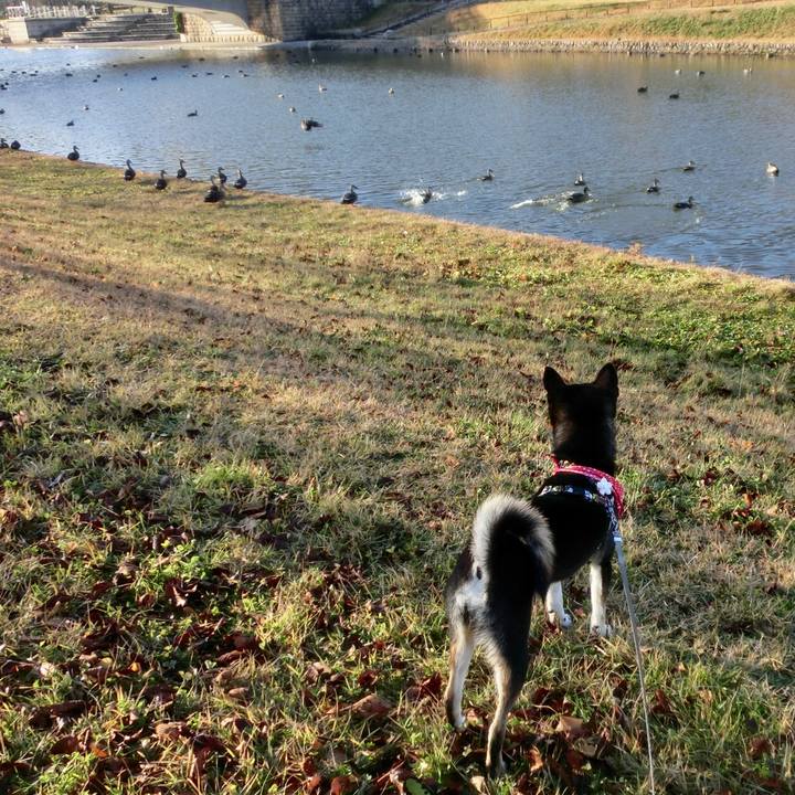 D85ef71d 51a4 4bb3 a34c 12539b5f0db7