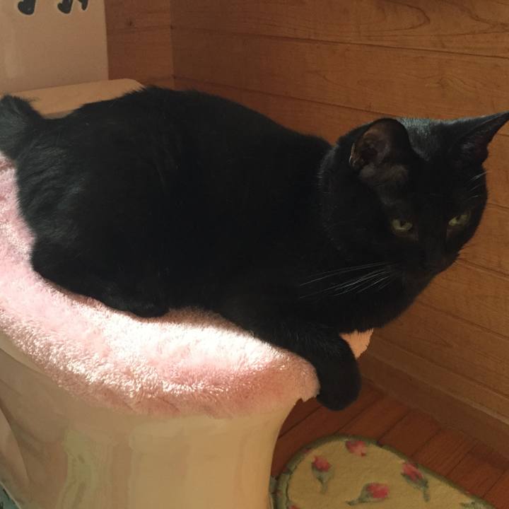 D85f6bb4 3eb8 4b71 89cf 30909dfc4052