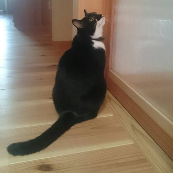 D85fc131 ad93 4c2f a5e7 69fe128dc942