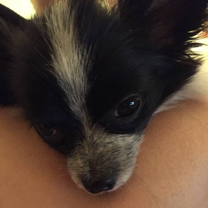 D861cbc6 3db2 4301 a5be a9224e5a569f