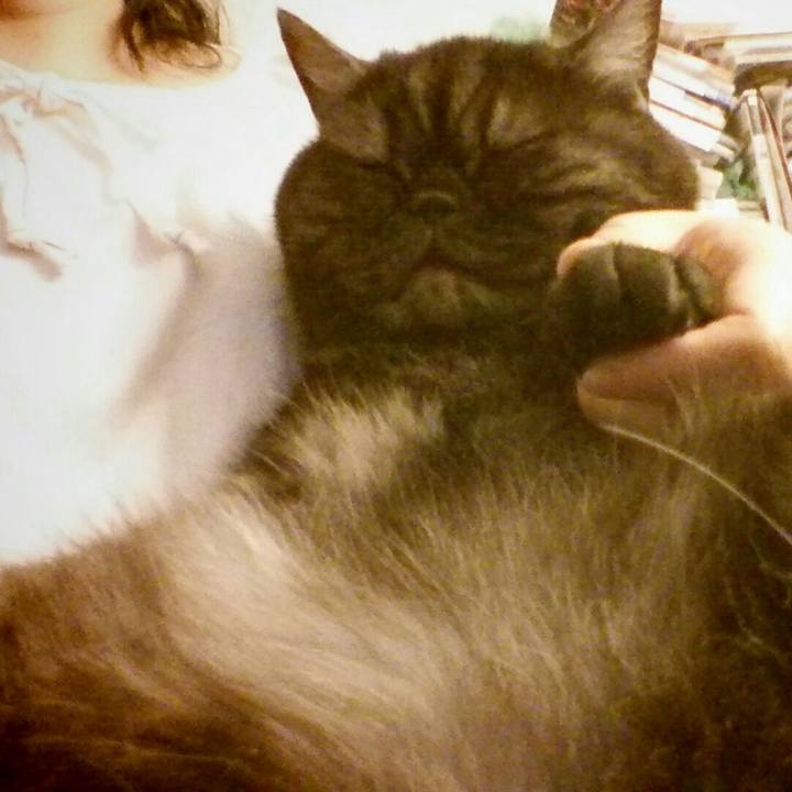 D8626487 60c3 4b7d b647 98de82288b0f