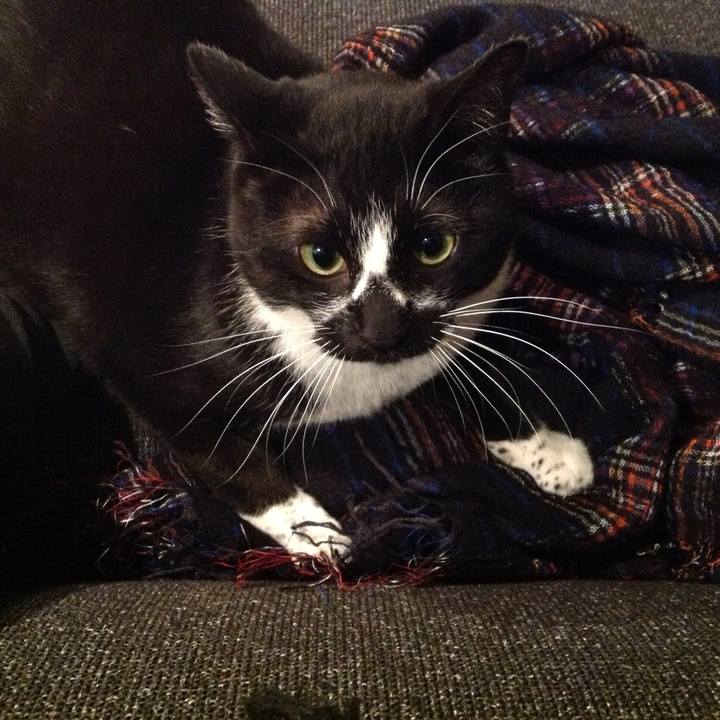 D8627264 b854 46dc 876a ba142bea1aed