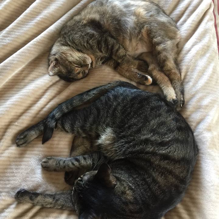 D8627639 f342 4287 ac31 48134f50f036