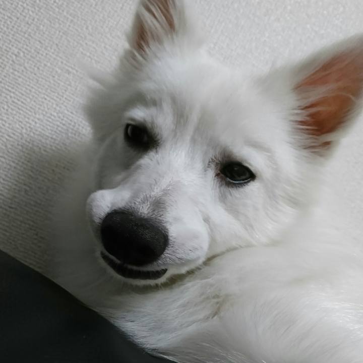 D86296fa 0a17 461f 9344 4ee1d3b625a6