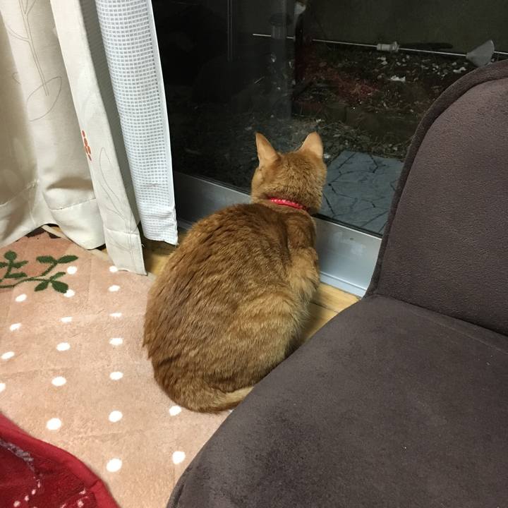 D862fabe be42 4830 903a 96ff786eed5c