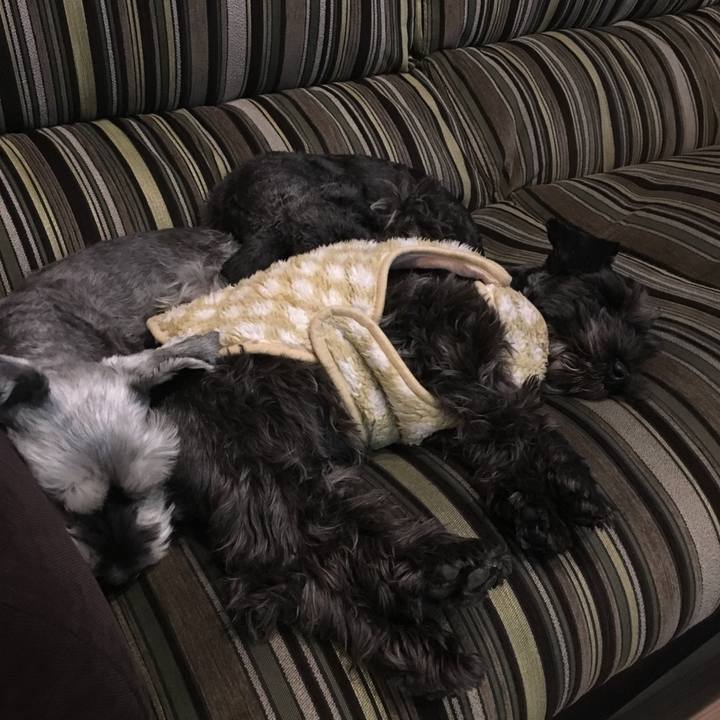 D8646e41 3ed7 4704 ac81 2749f49d1192