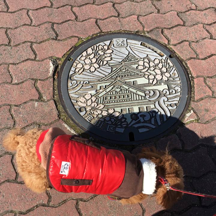 D86491d3 c4e3 42a8 a51c 4c2f4dfe6dfc