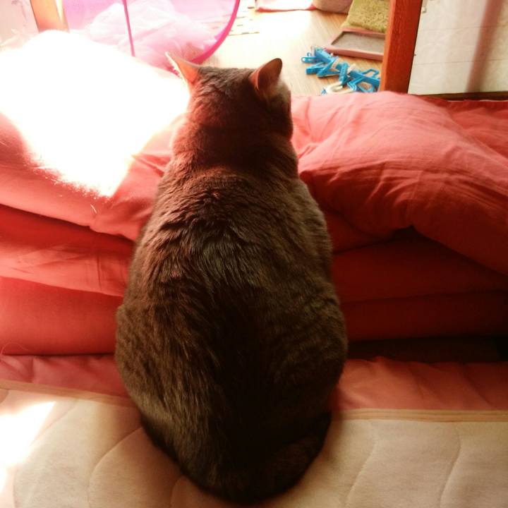 D864bf7c e500 45d2 b62b b13b7ee59472