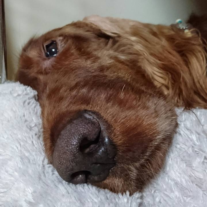 D864ef0d 3486 45a7 96d2 164aea23c08c