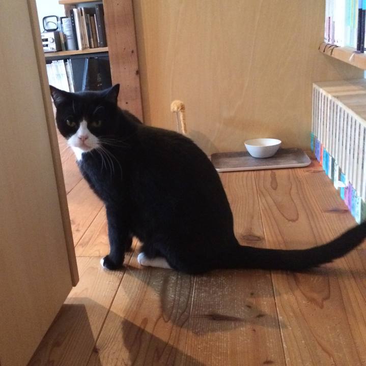 D865d7ac 1afc 43ba bf8a fb68e6a437b6