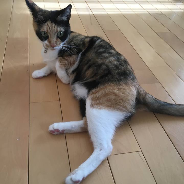 D8668254 1a33 4c48 a275 93383e2e18b2