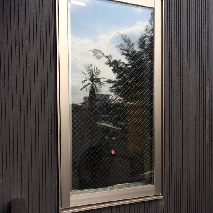 D8678b6d ec81 4e4b 8b47 15b1f2a37bda